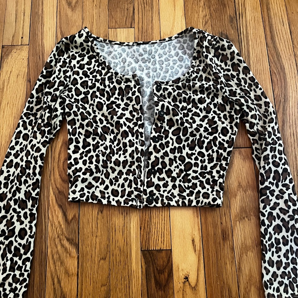 Leopard Print Long Sleeve Crop Top